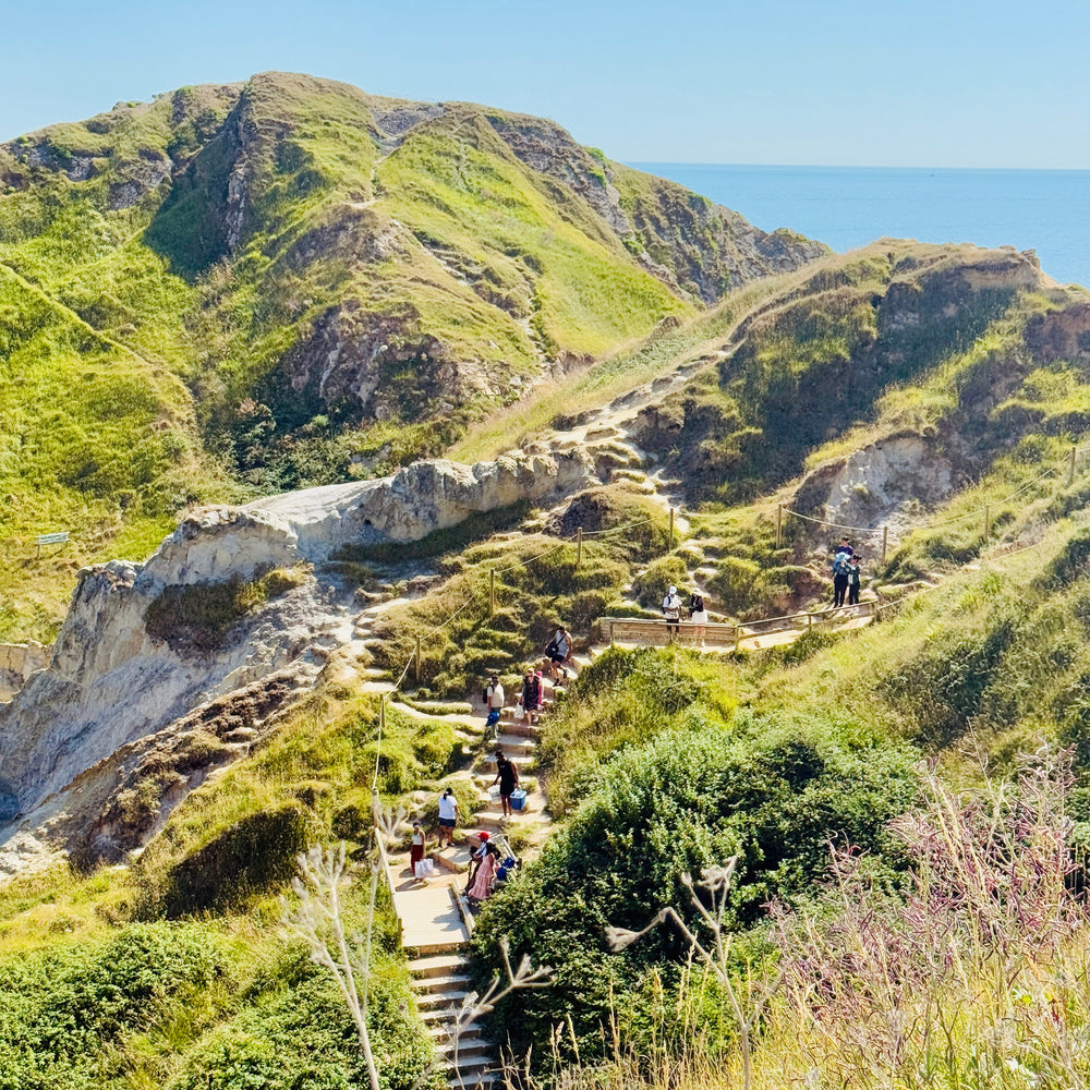 Hiking trail on a grassy hillside with ocean view